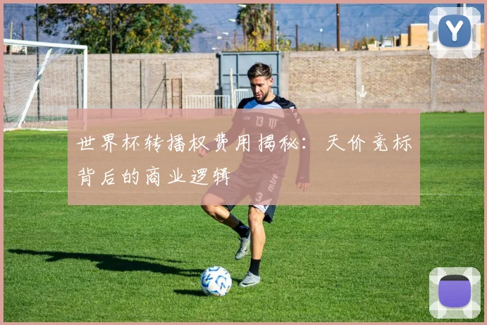 世界杯转播权费用揭秘：天价竞标背后的商业逻辑