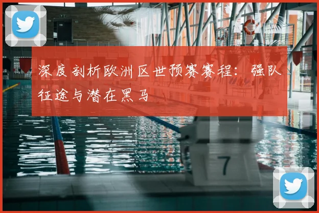 深度剖析欧洲区世预赛赛程：强队征途与潜在黑马