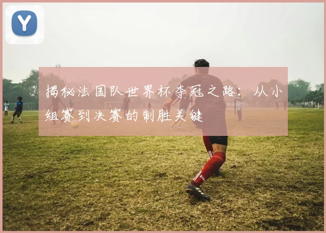揭秘法国队世界杯夺冠之路：从小组赛到决赛的制胜关键