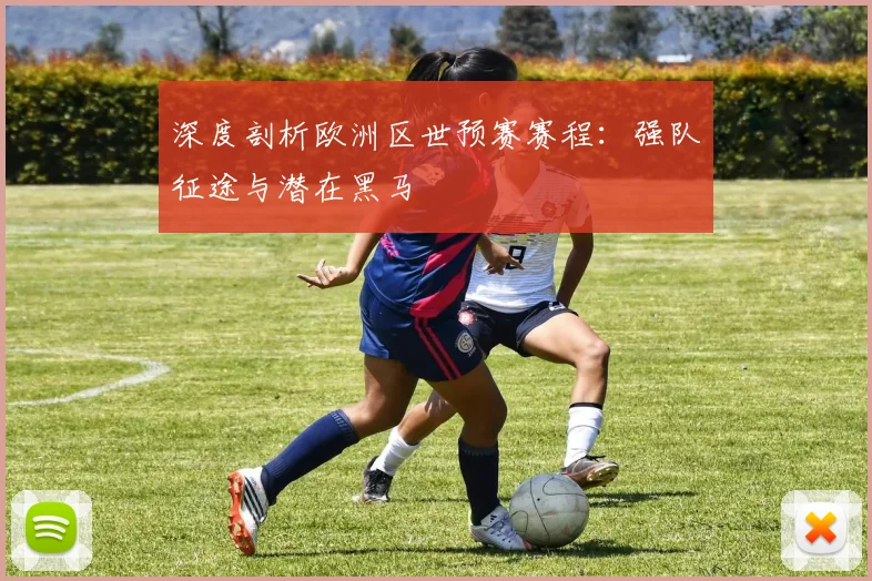 深度剖析欧洲区世预赛赛程：强队征途与潜在黑马