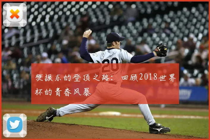 樊振东的登顶之路：回顾2018世界杯的青春风暴