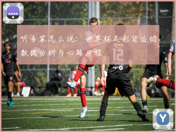 听专家怎么说：世界杯足彩背后的数据分析与心路历程