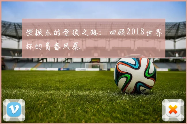 樊振东的登顶之路：回顾2018世界杯的青春风暴