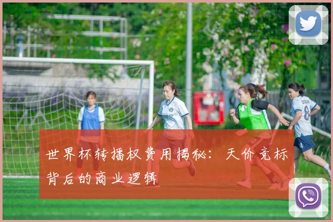 世界杯转播权费用揭秘：天价竞标背后的商业逻辑