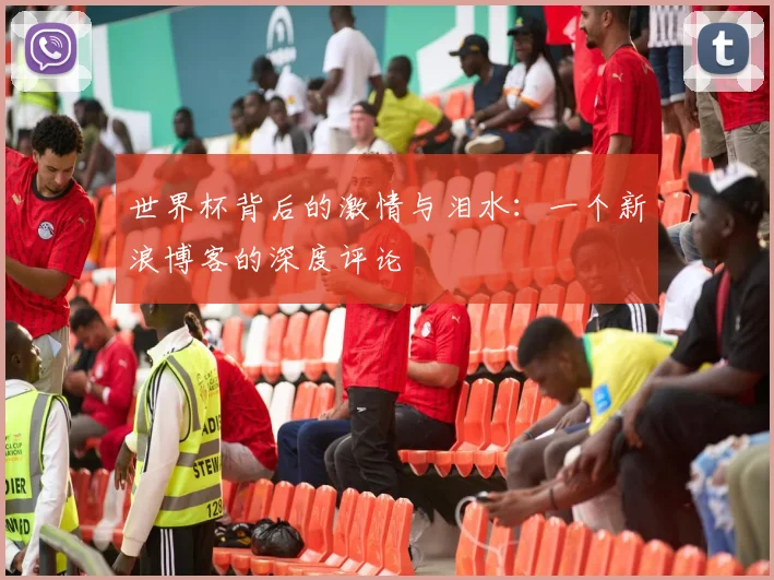 世界杯背后的激情与泪水：一个新浪博客的深度评论