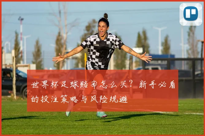 世界杯足球赔率怎么买？新手必看的投注策略与风险规避