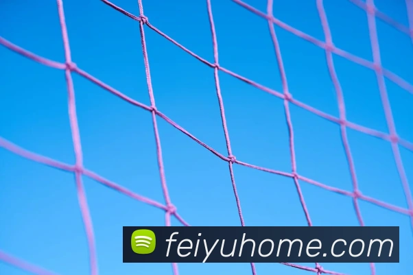 多媒体互动体验