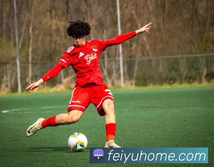 九游官网官方入口APP 高清赛事图